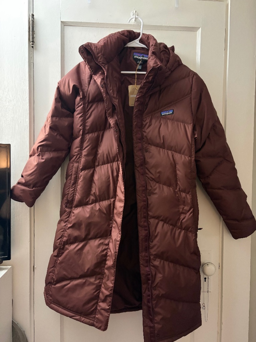 Patagonia Down With It Parka W.L